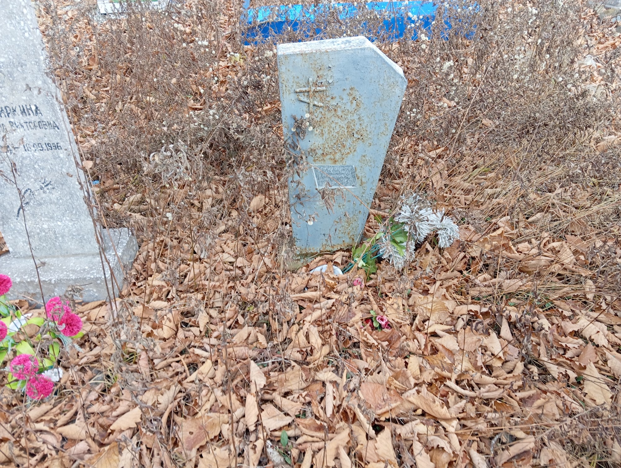 Просвиркин Александр Николаевич