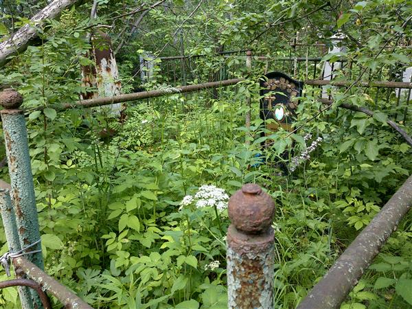 Нижегородцев Алексей Сергеевич