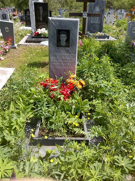 Пестерников Виталий Иванович