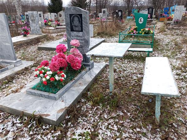 Петрова Анастасия Андреевна