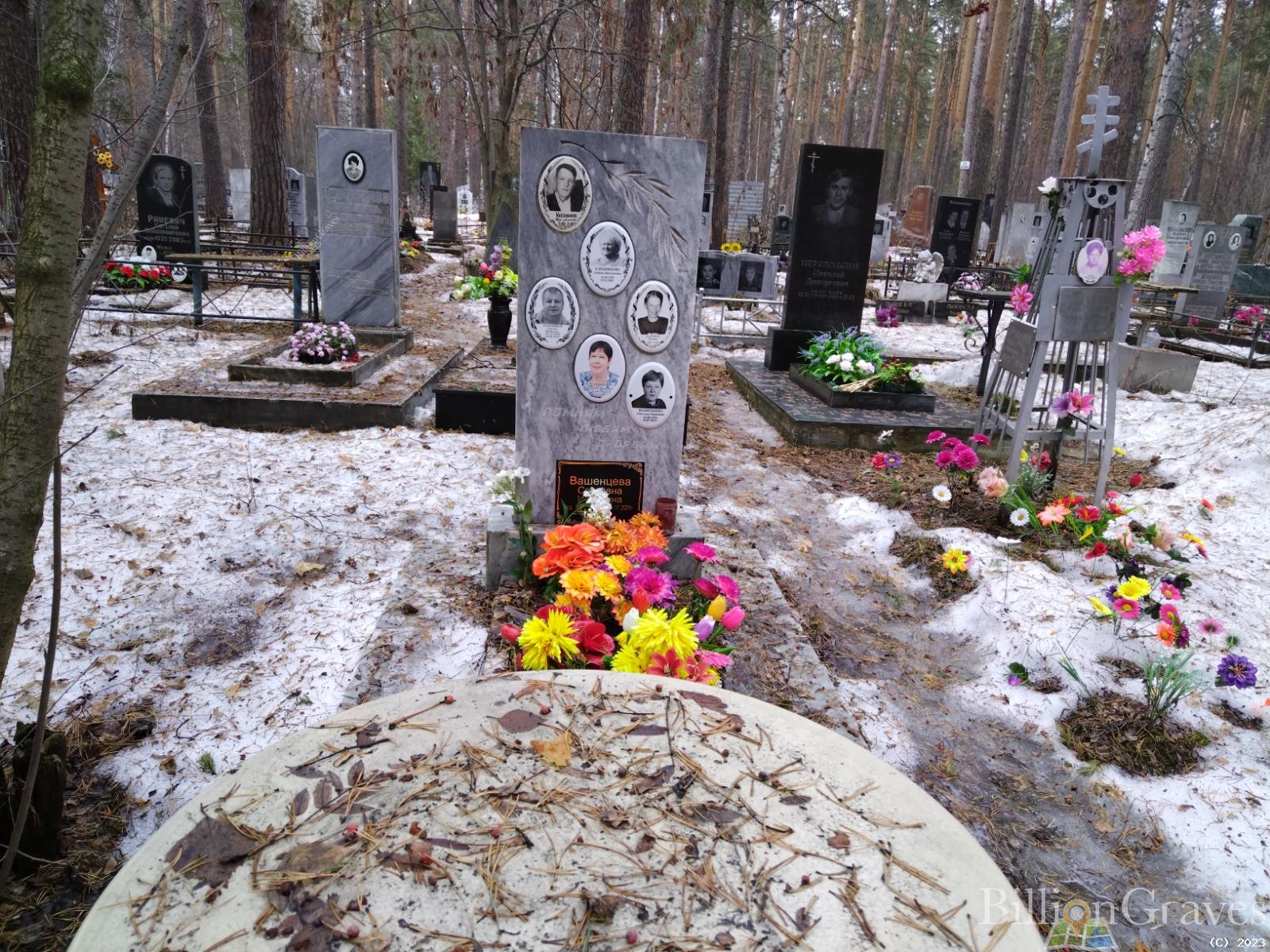 Вашенцева Светлана Ивановна