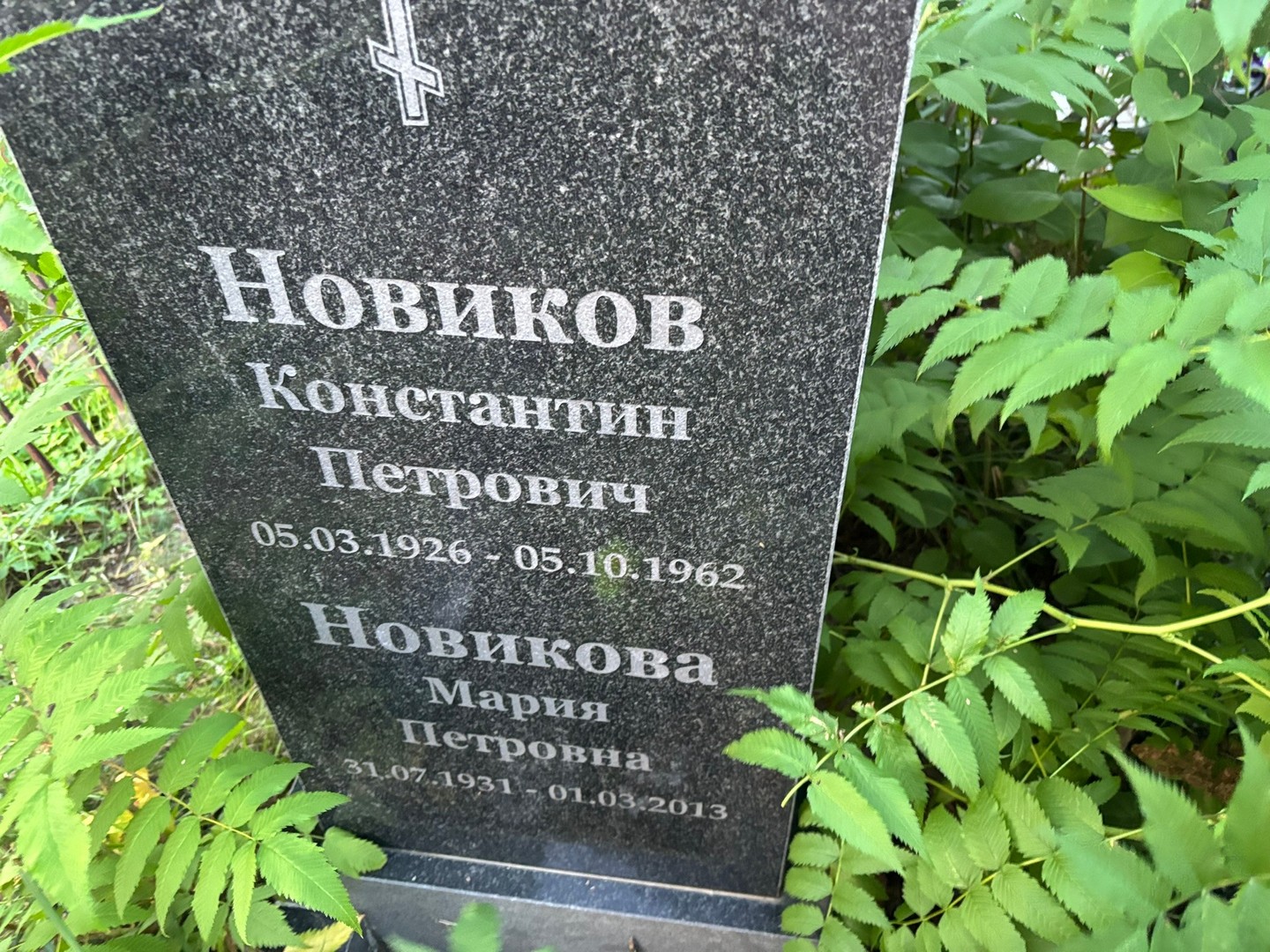 Новиков