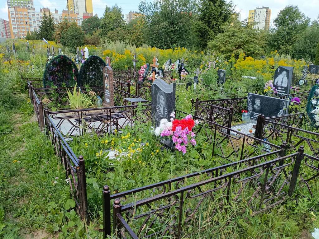 Ганюшкина Лариса Васильевна