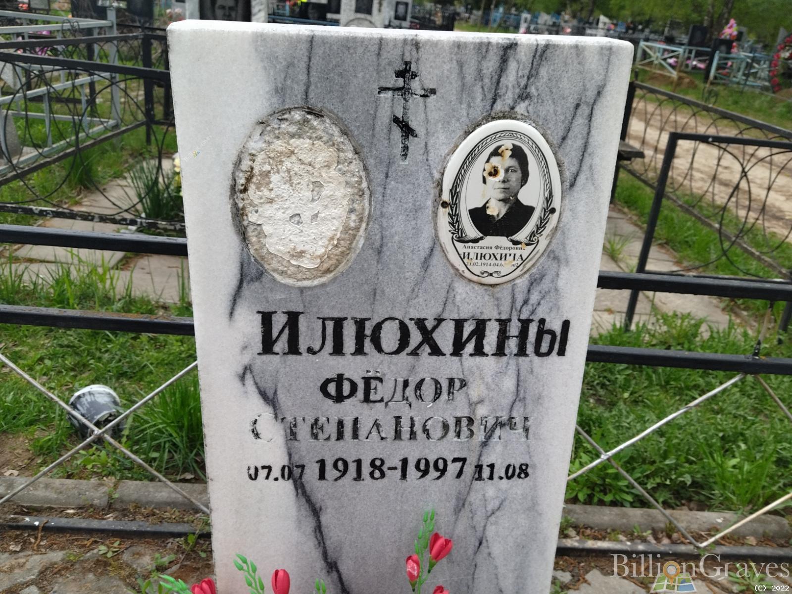 Илюхина Анастасия Фёдоровна