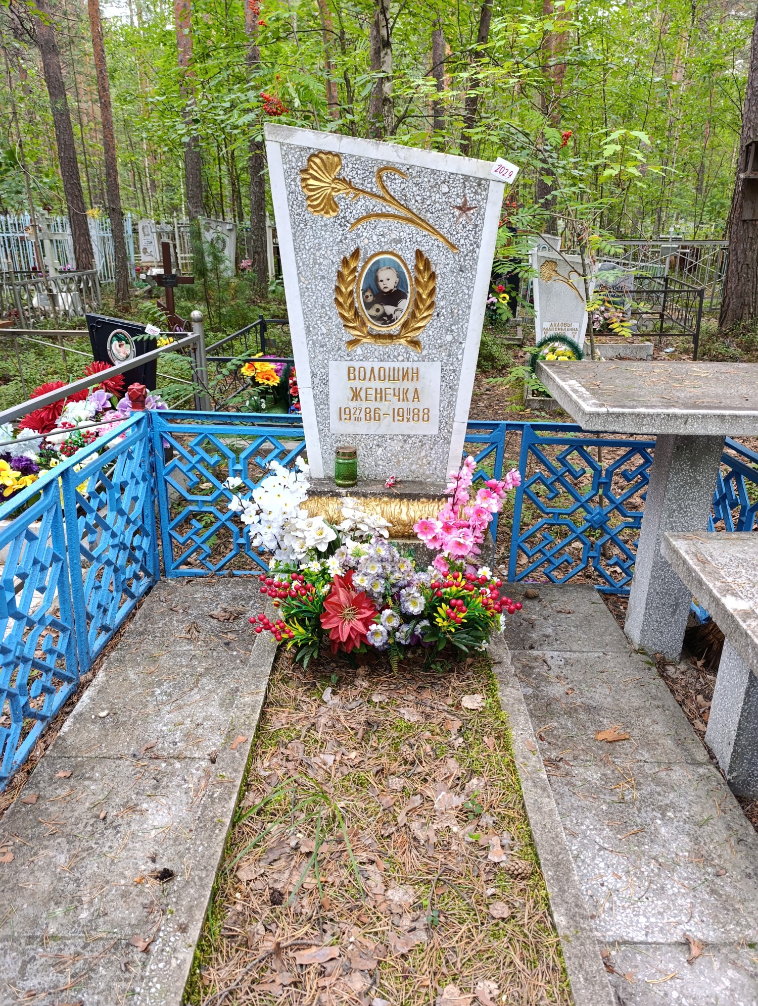 Волошин Женечка