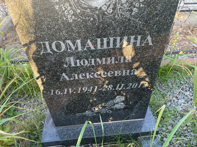 Домашина