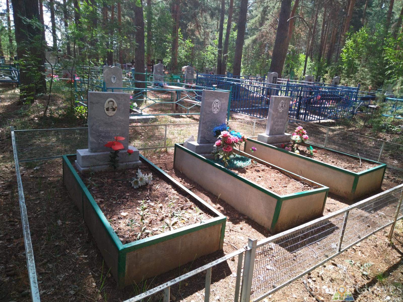 Соломеина Анна Александровна