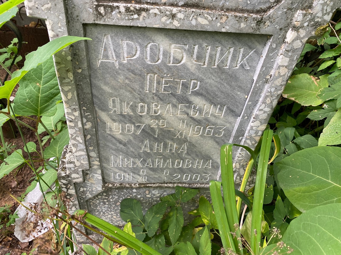 Дробчик