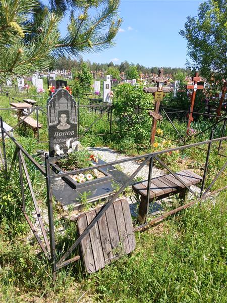 Немышева Полина Марковна