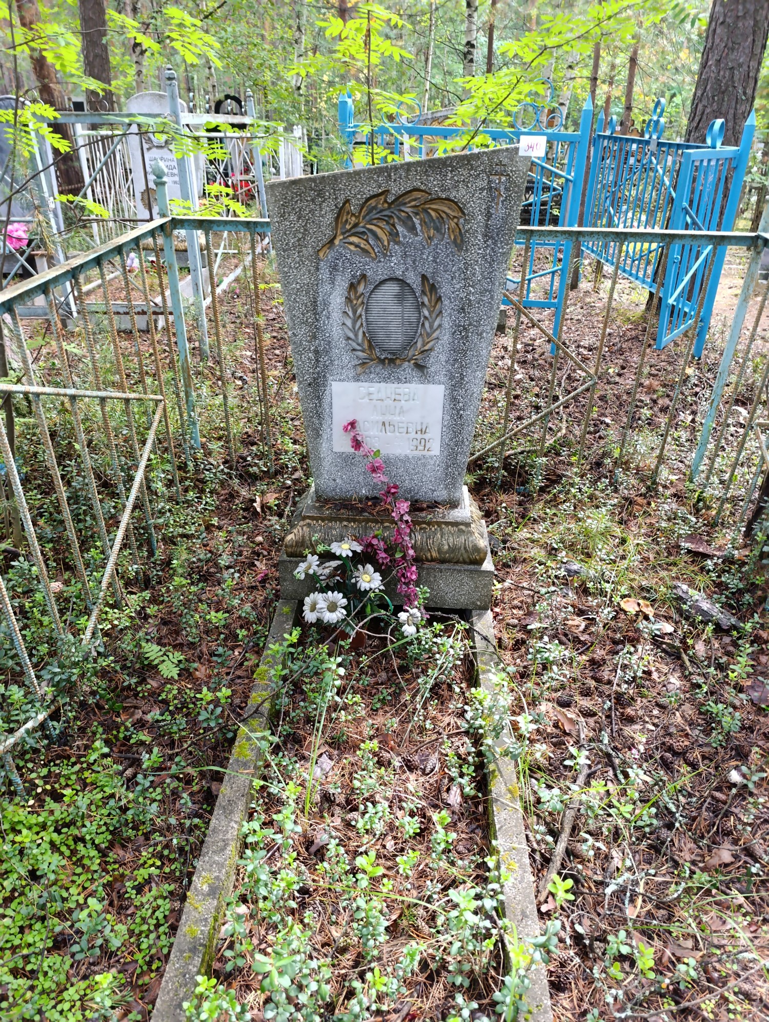 Седнев Анна Васильевна