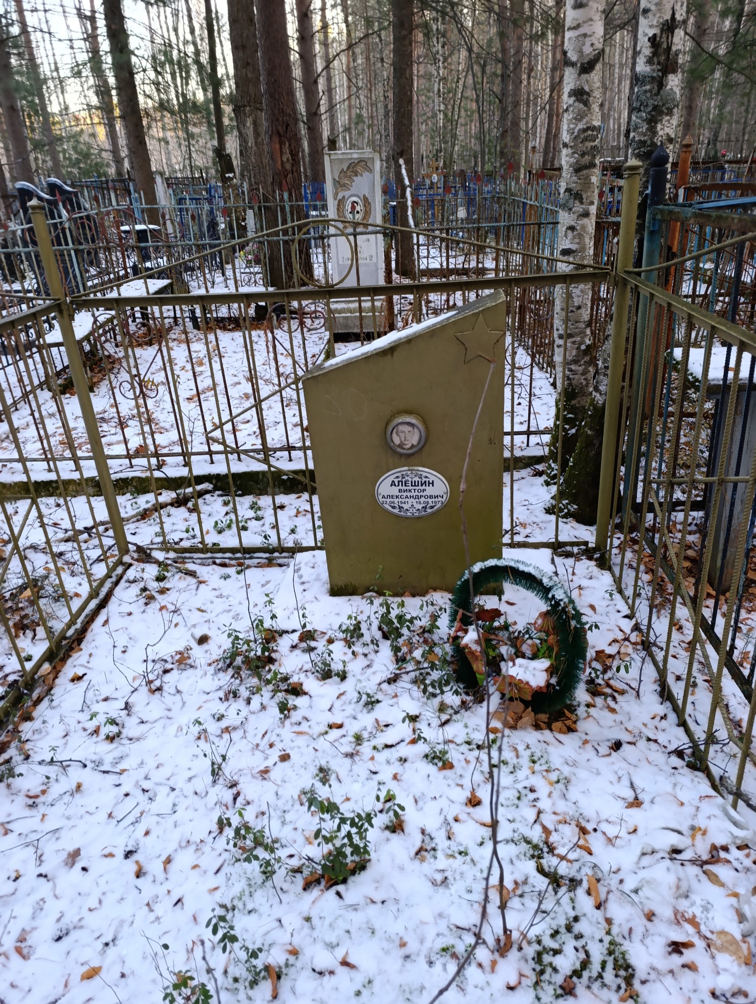 Алёшин Виктор Александрович