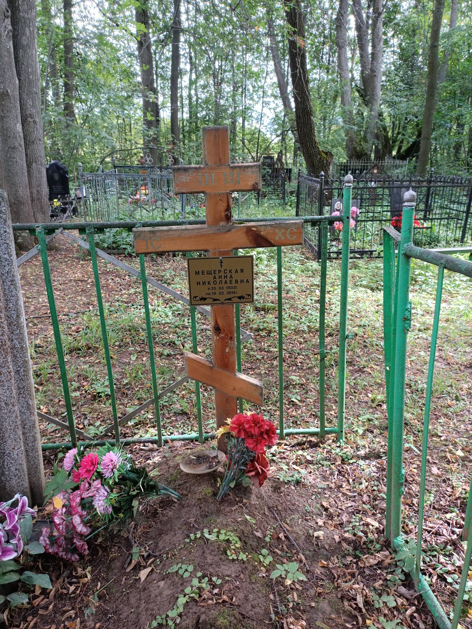 Мещерская Анна Николаевна