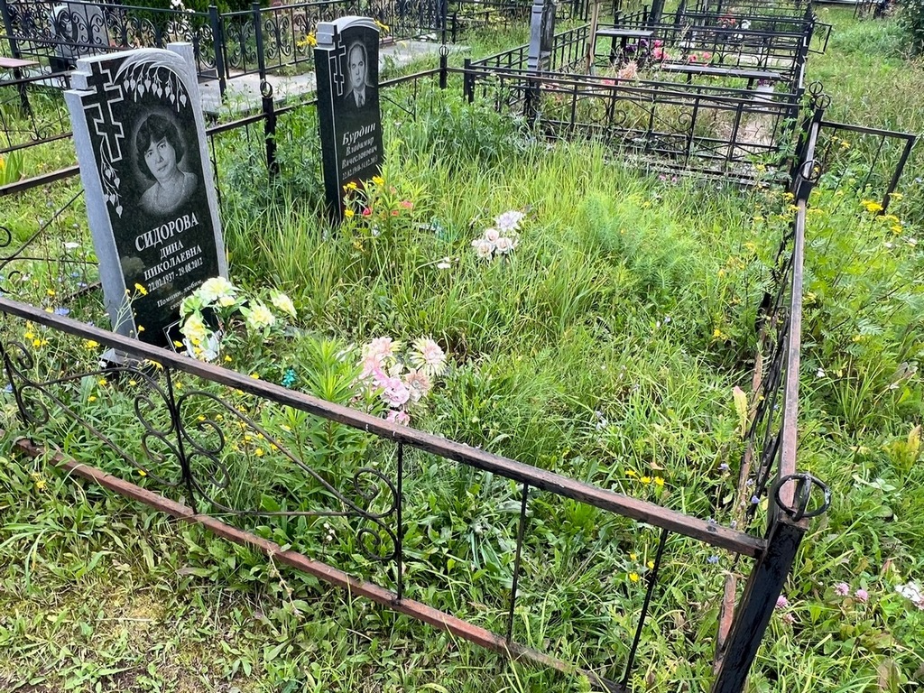 Сидорова Дина Николаевна