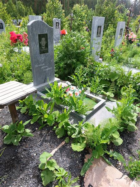 Спирина Любовь Алексеевна