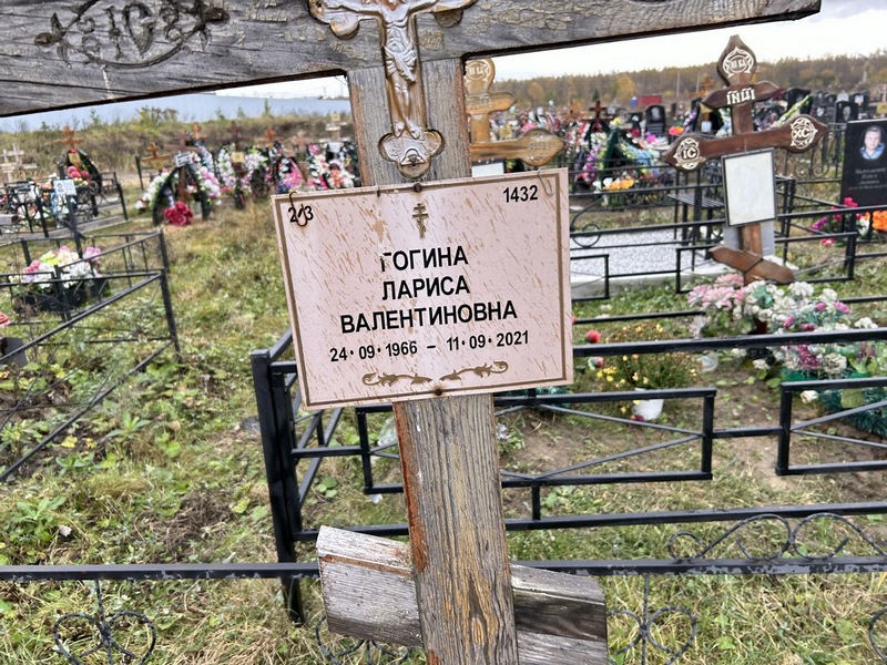 Гогина