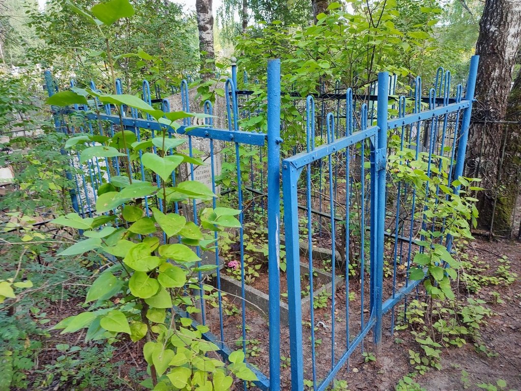 Смородина Татьяна Павловна