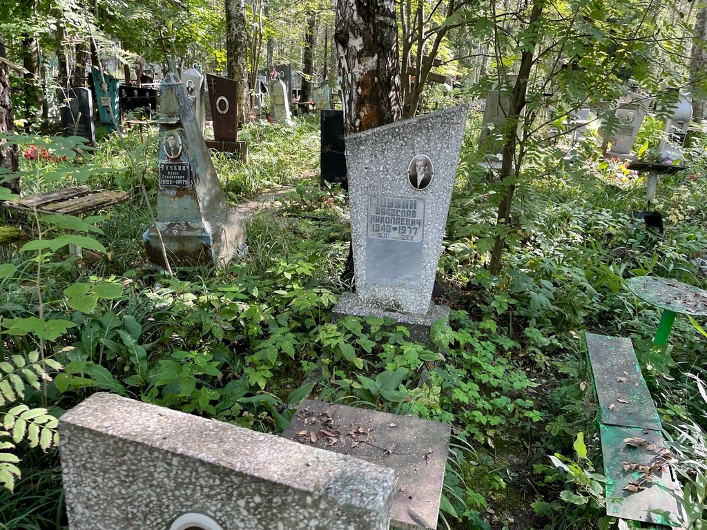 Шубин Вячеслав Николаевич