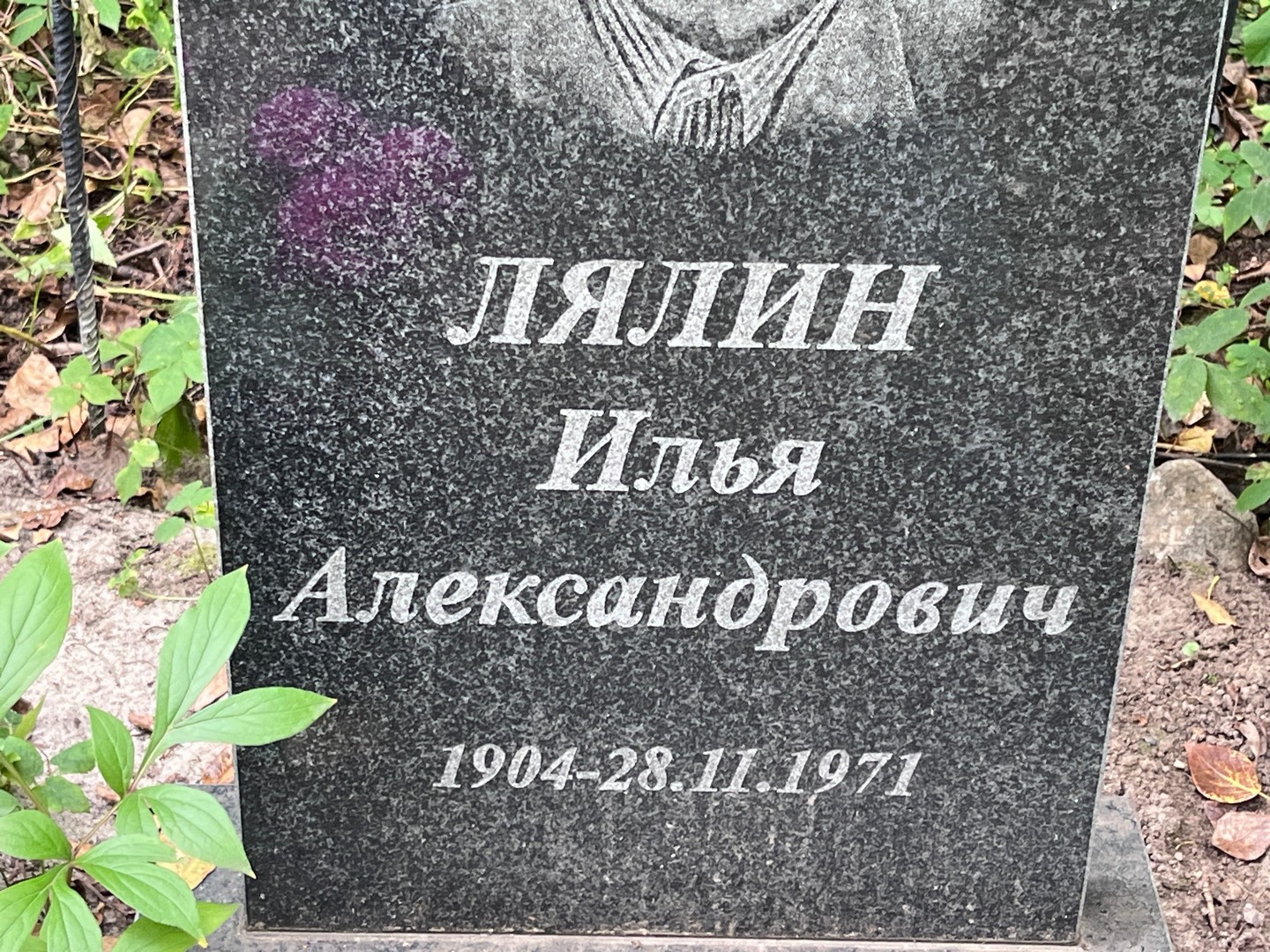 Лялин