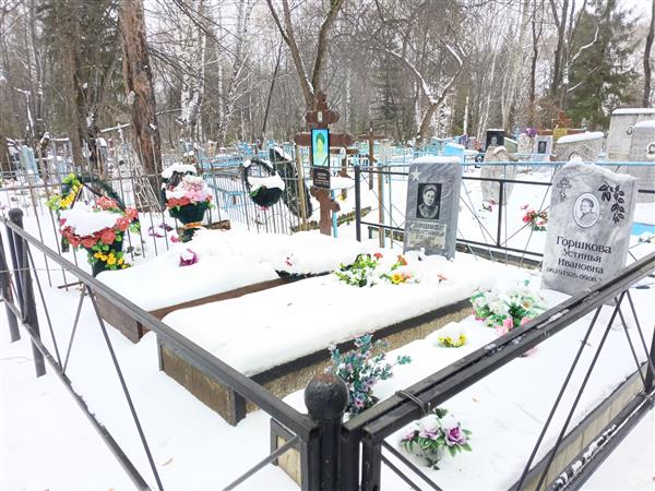 Горшков Александр Ильич