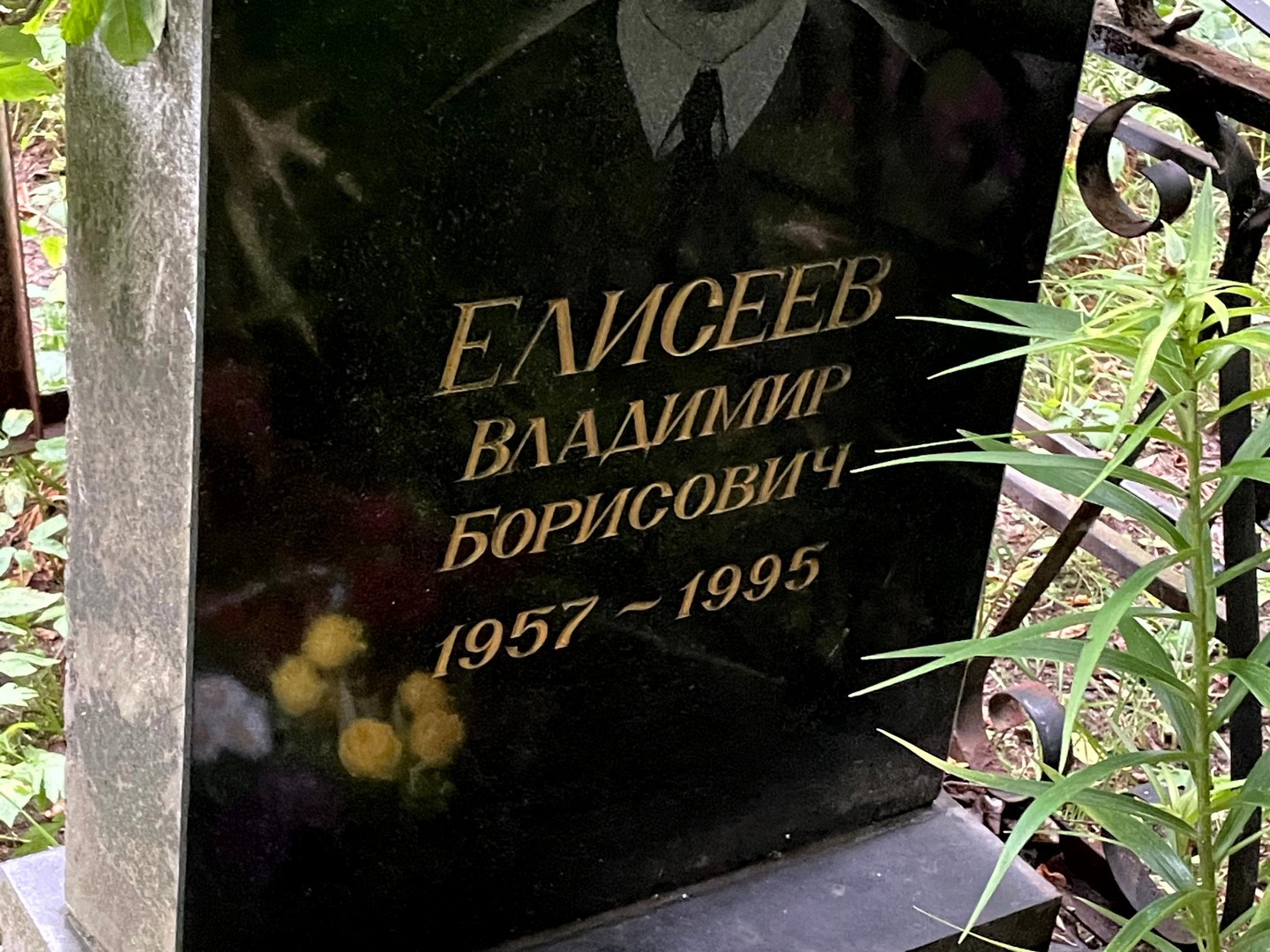Елисеев