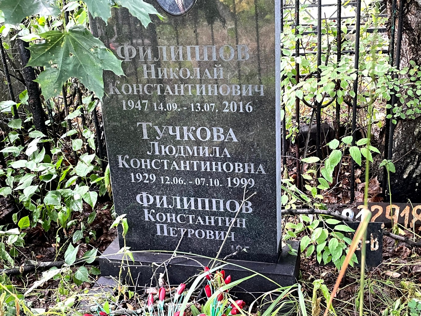 Тучкова