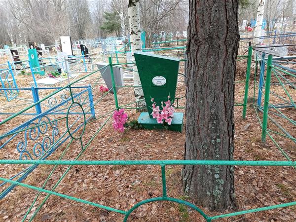 Двинянинова Дарья Сергеевна