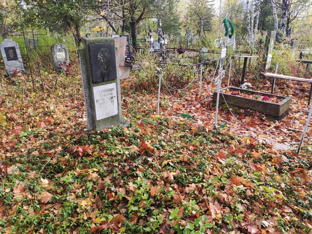 Старабыкин Алексей Николаевич
