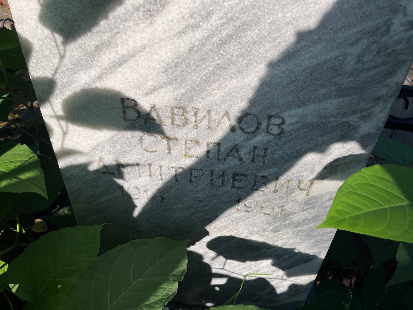 Вавилов