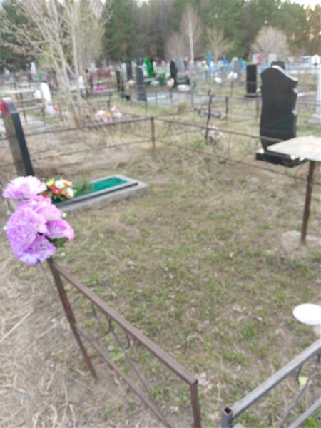 Шарков Николай Степанович