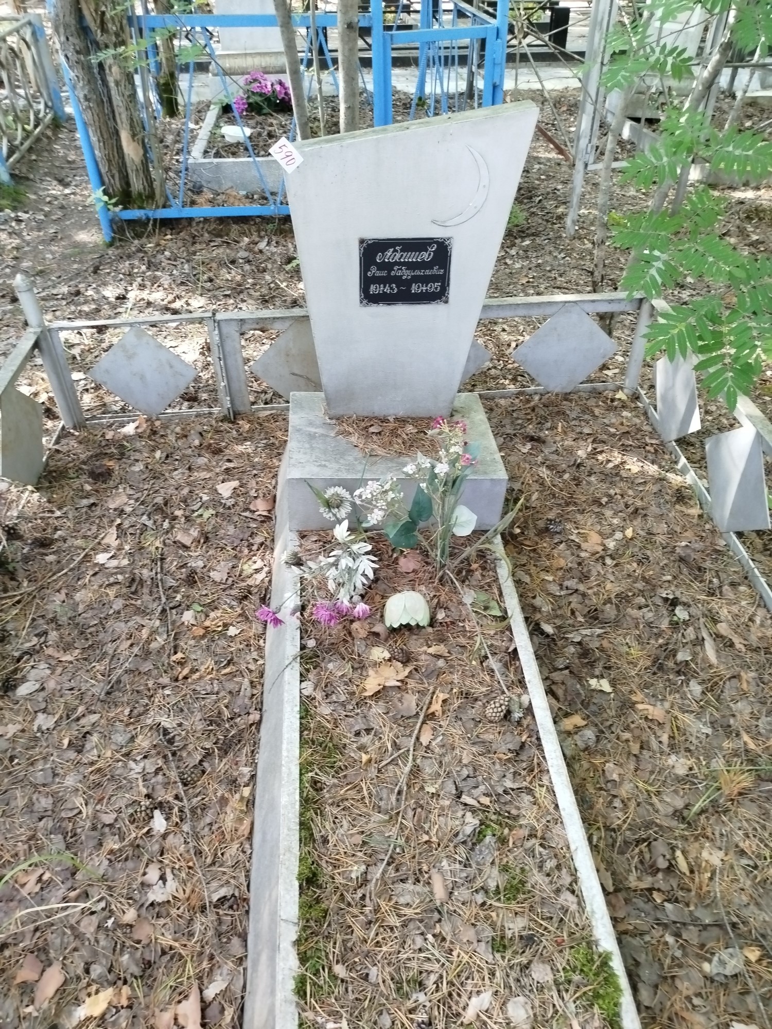 Абашев Раиса Габдульхаевич