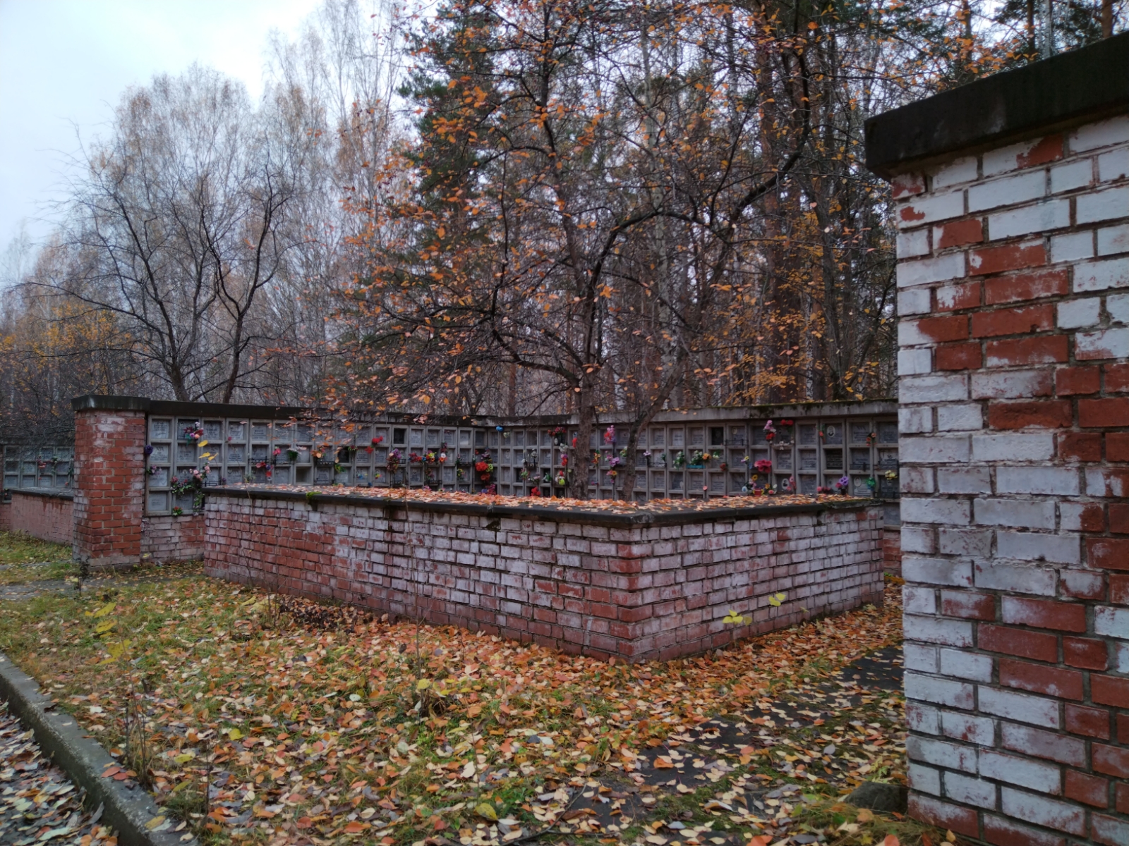 Медкова Маргарита Николаевна