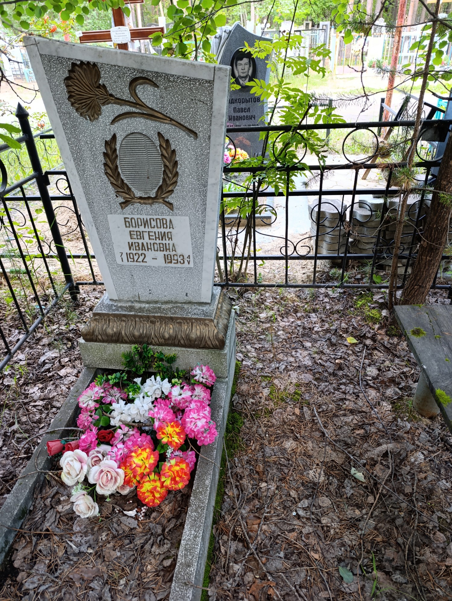 Борисова Евгения Ивановна