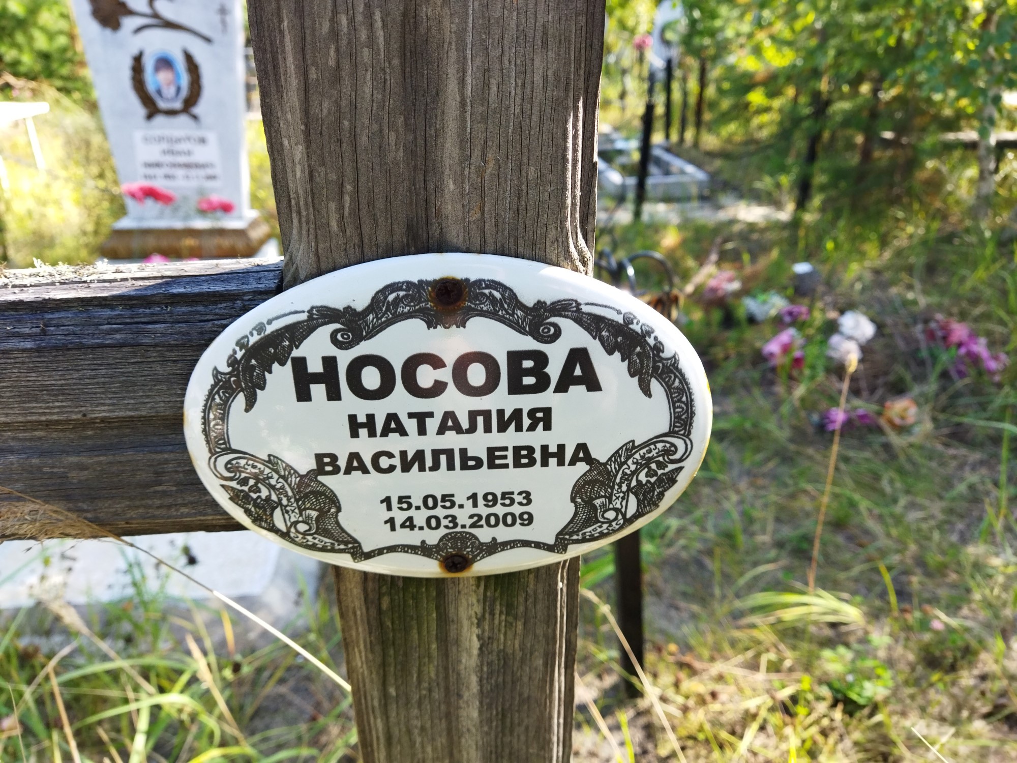Носова Наталья Васильевна