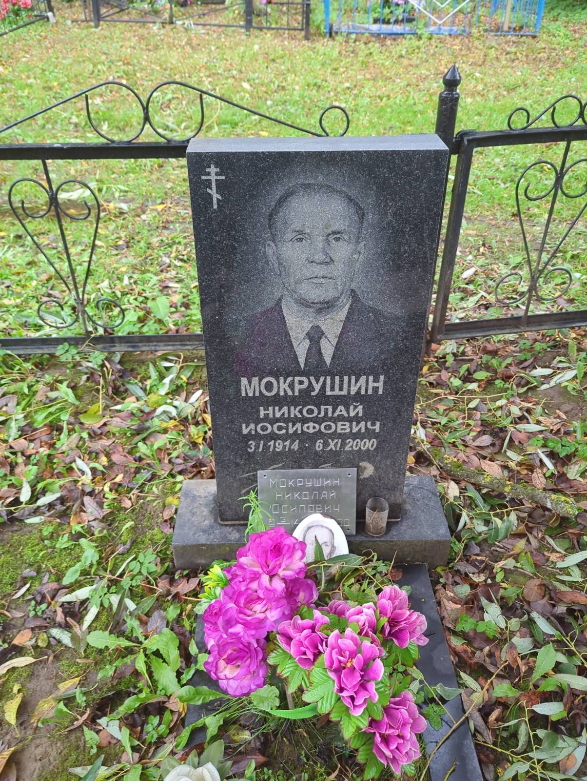 Мокрушин Николай Иосифович