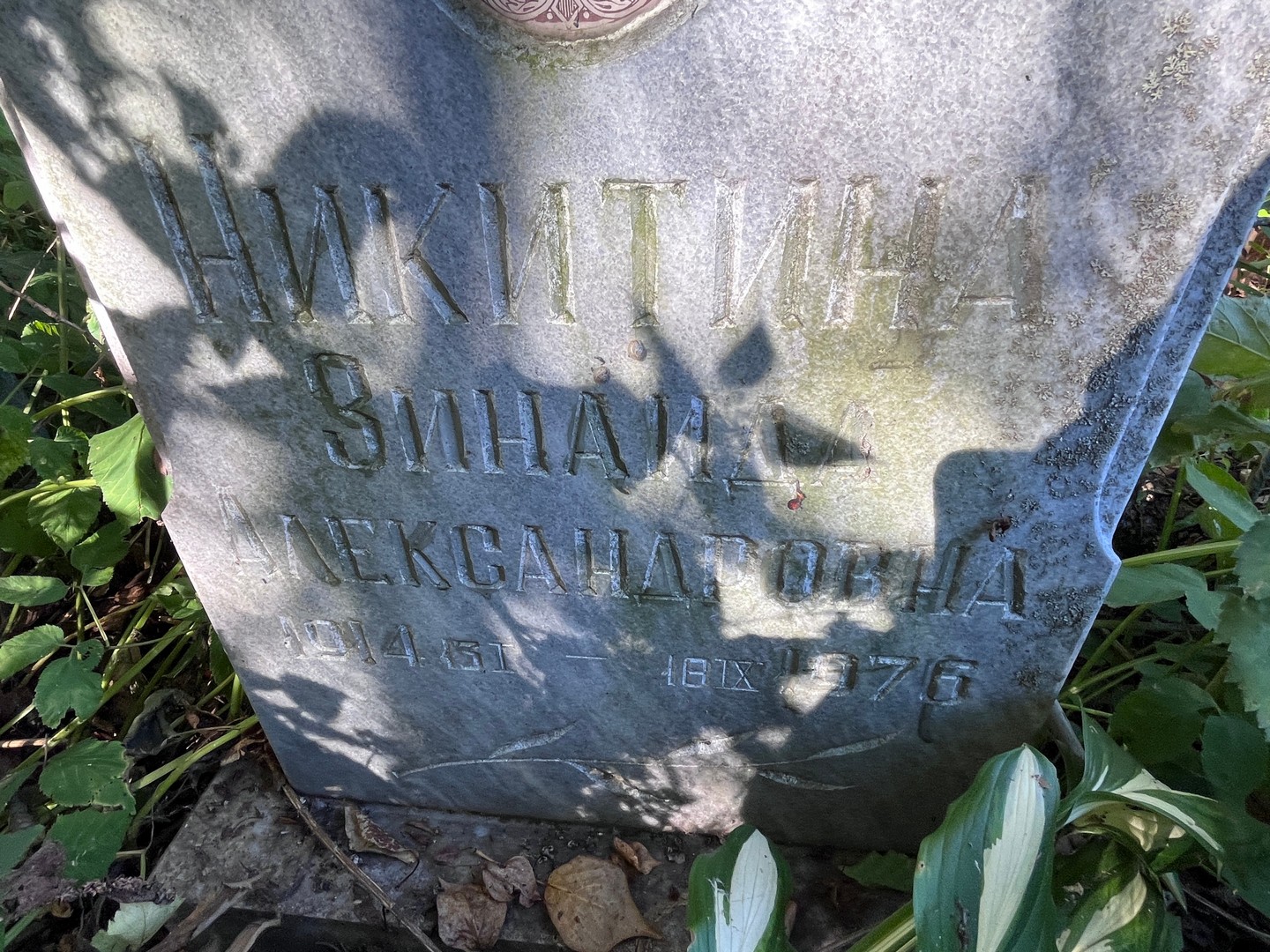 Никитина