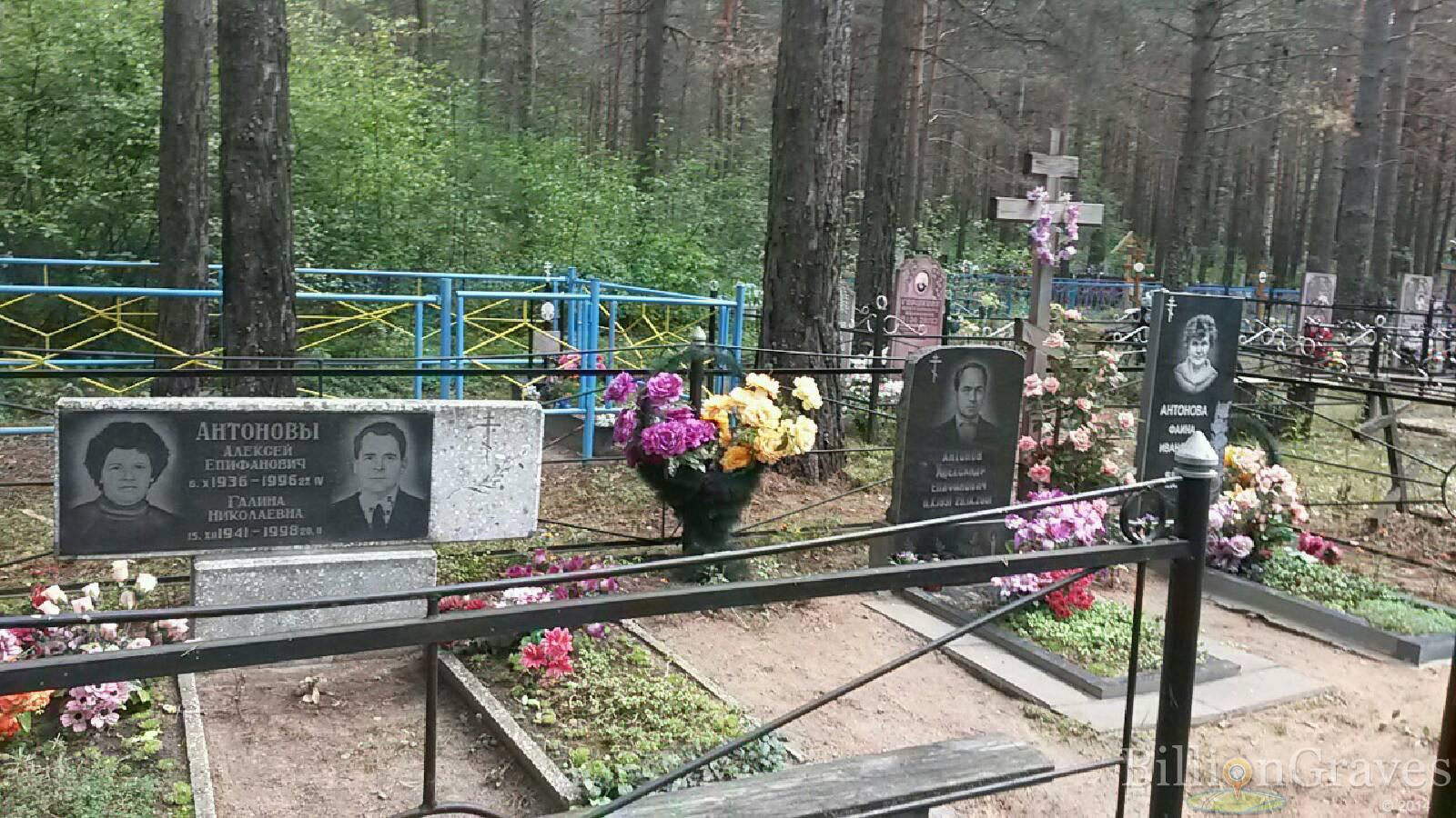 Антонова Галина Николаевна