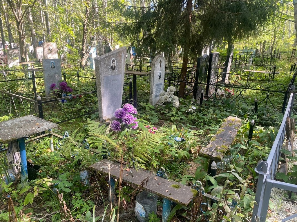 Янушко Павлина Лукояновна