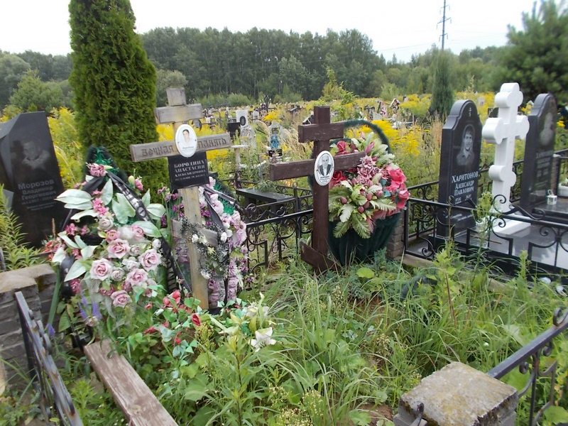Бородина Анастасия Александровна