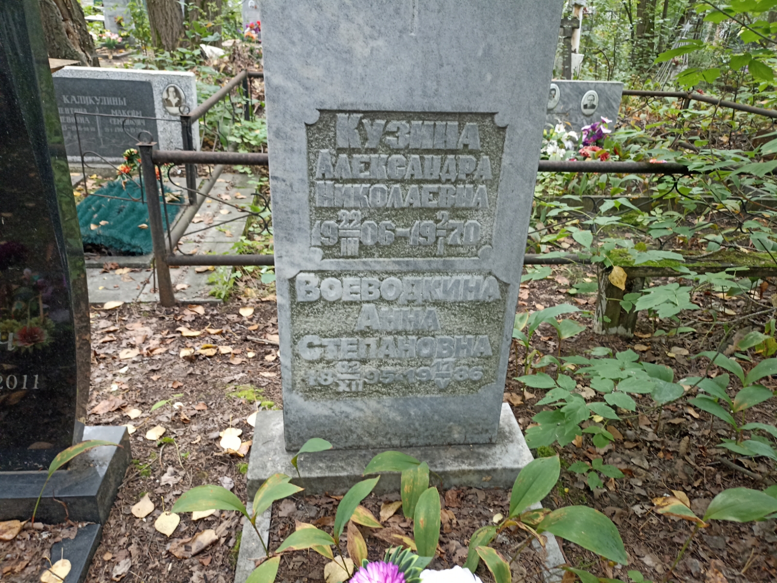 Воеводкина Анна Степановна