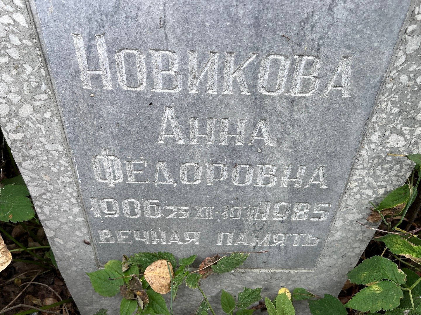 Новикова