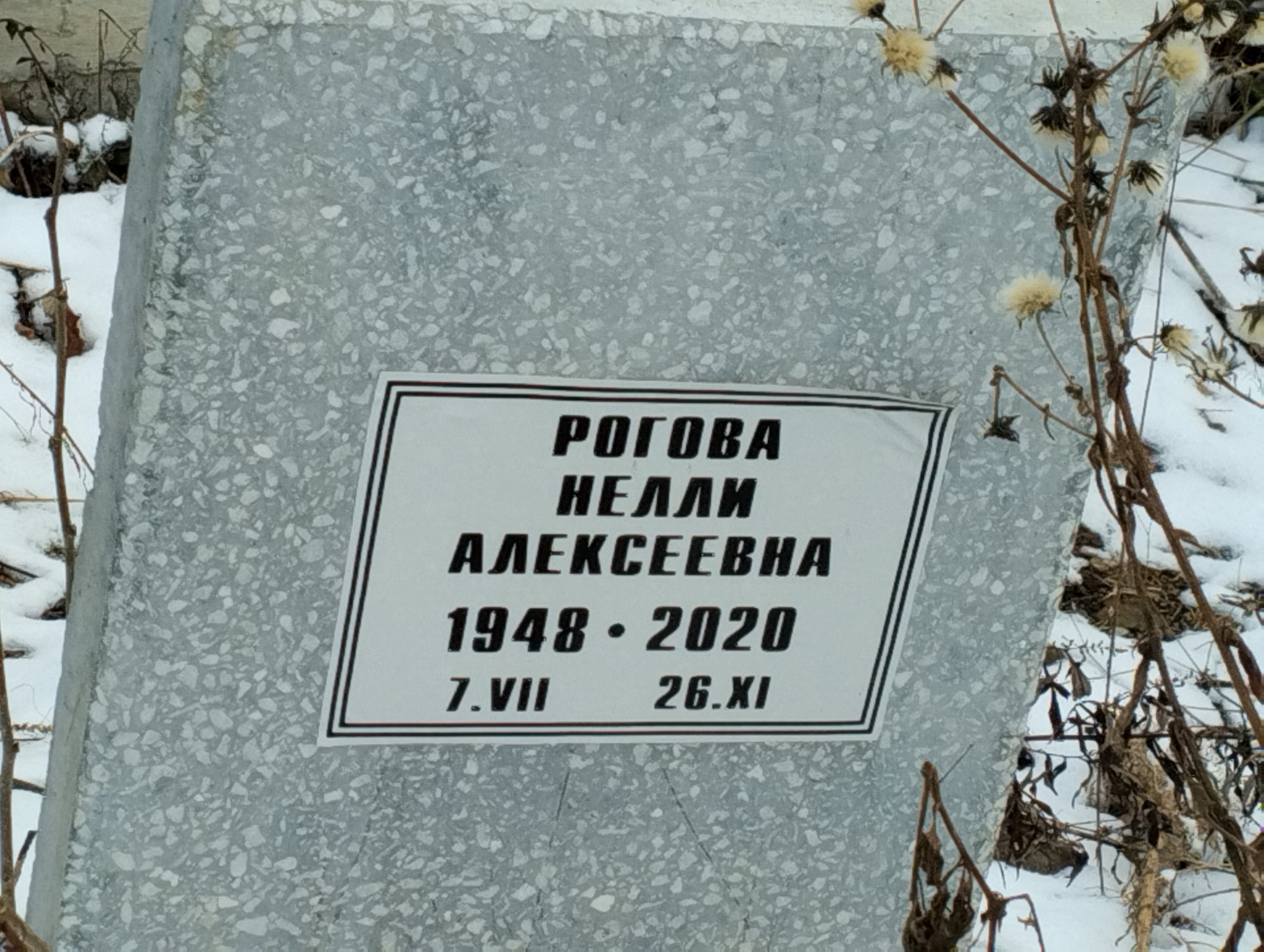 Рогова Нелли Алексеевна