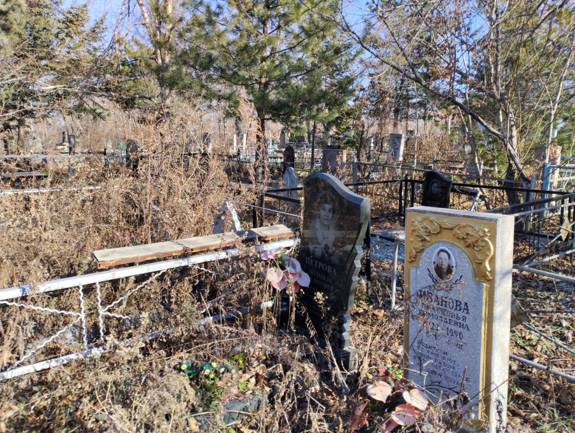 Петрова Людмила Андреевна