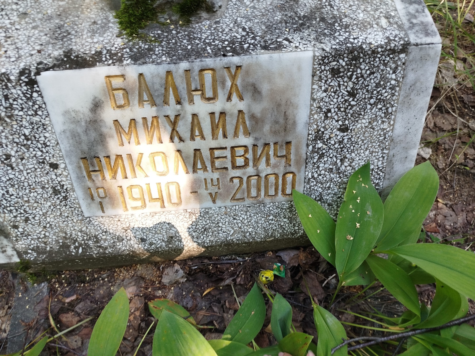 Балюх Михаил Николаевич