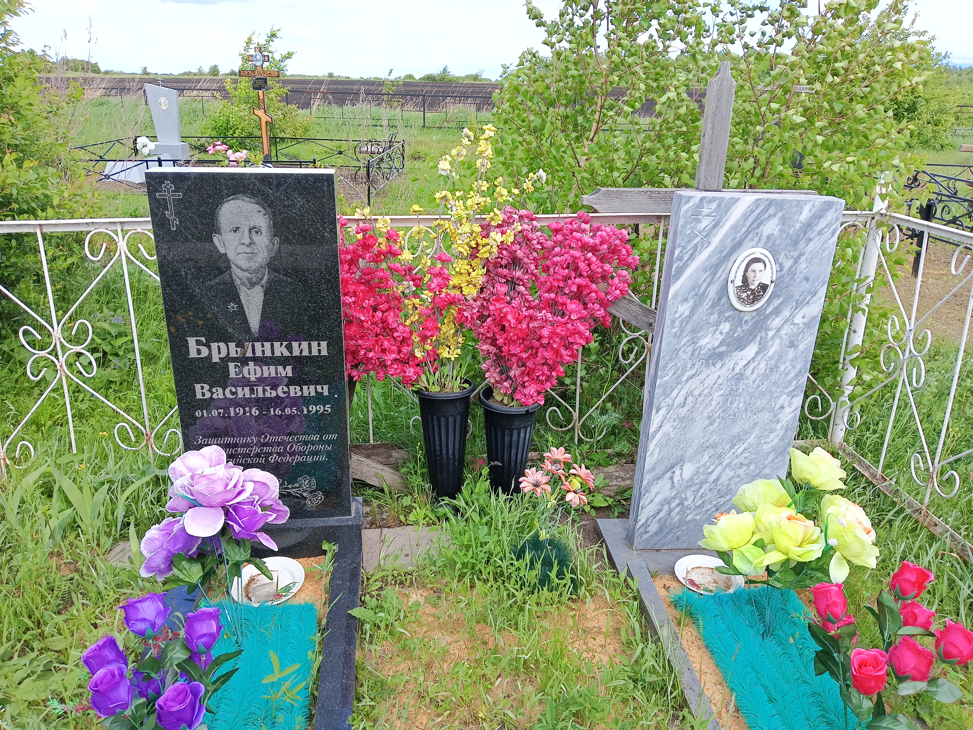 Брынкин Ефим Васильевич