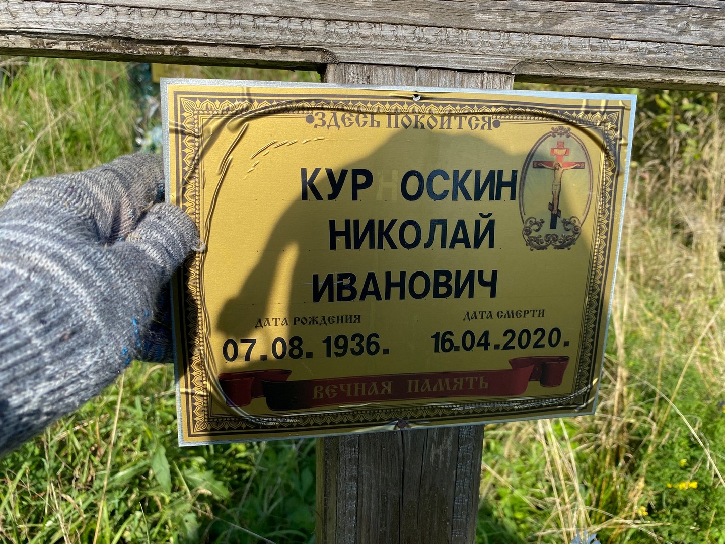 Курноскин