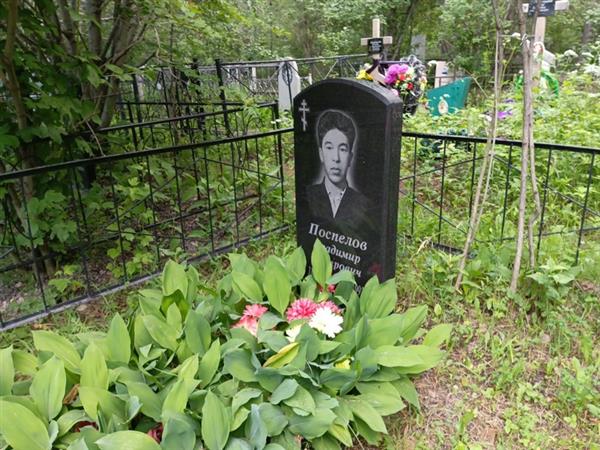 Поспелов Владимир Петрович