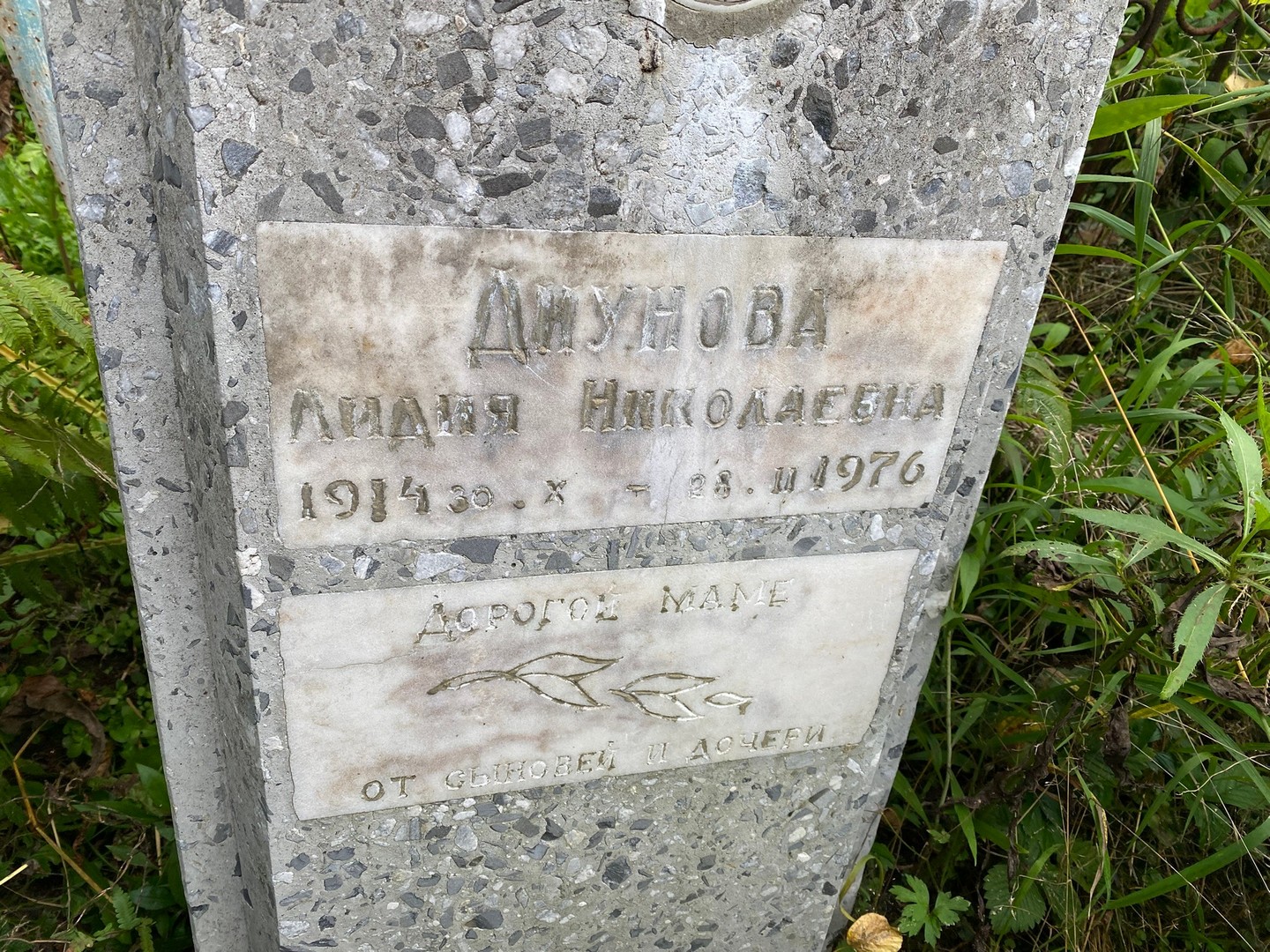 Диунова
