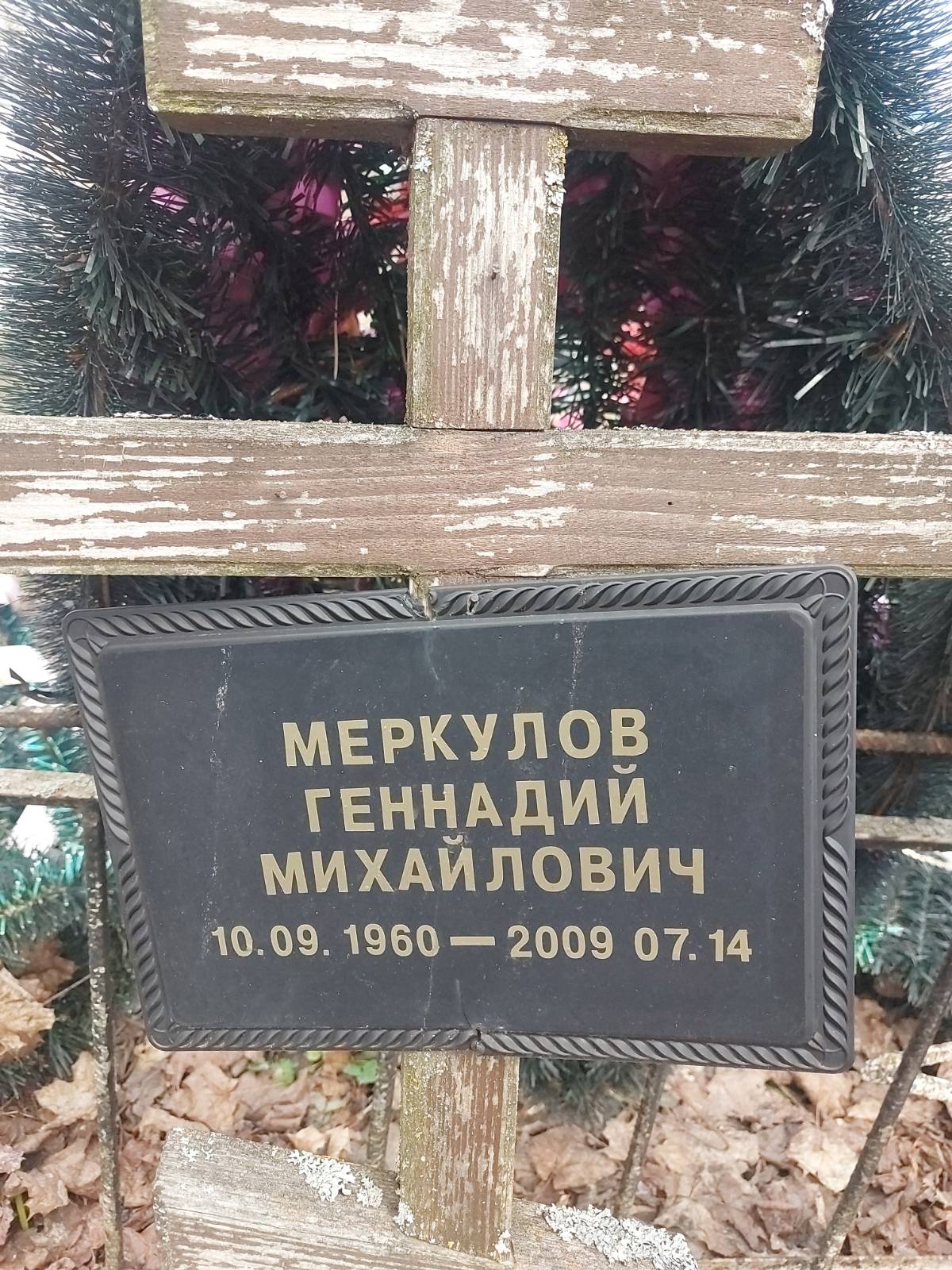 Меркулов Геннадий Михайлович