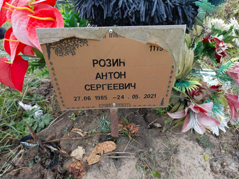 Розин