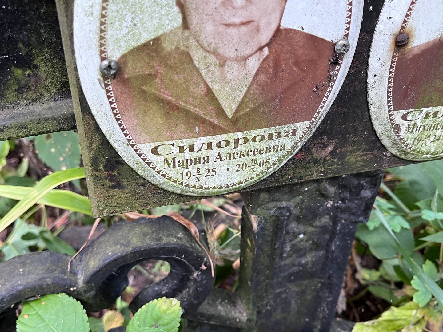 Сидорова